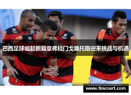 巴西足球崛起新篇章弗拉门戈桑托斯迎来挑战与机遇