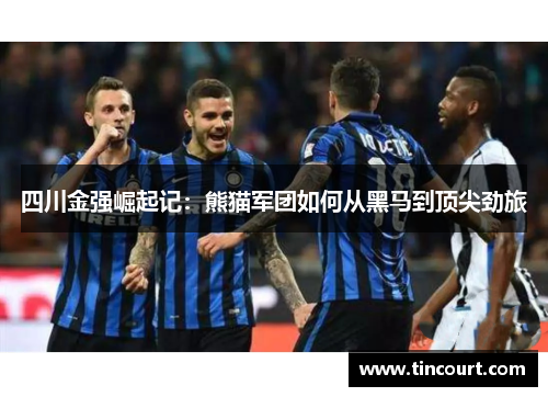 四川金强崛起记：熊猫军团如何从黑马到顶尖劲旅