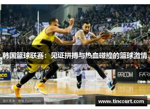 韩国篮球联赛：见证拼搏与热血碰撞的篮球激情